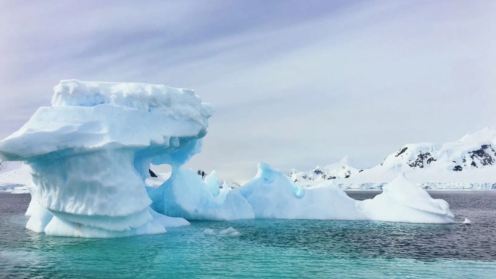 Eisberg_cassie-matias-247745-unsplash